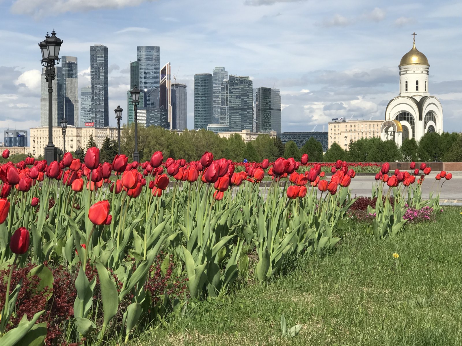 Погода в москве и подмосковье